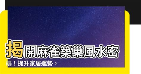 麻雀築巢好運|麻雀築巢風水：提升家居運勢的秘密武器【麻雀築巢風水】 – 香港。